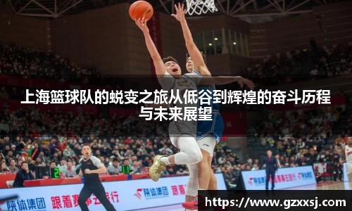 yy易游体育