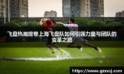 飞盘热潮席卷上海飞盘队如何引领力量与团队的变革之路