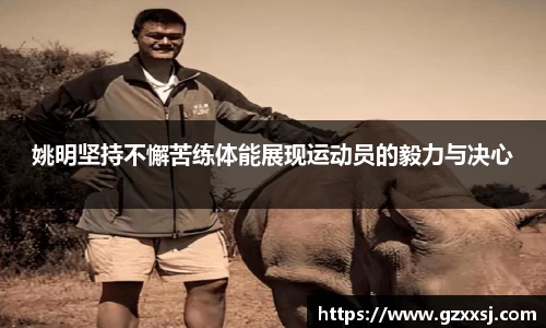 yy易游体育