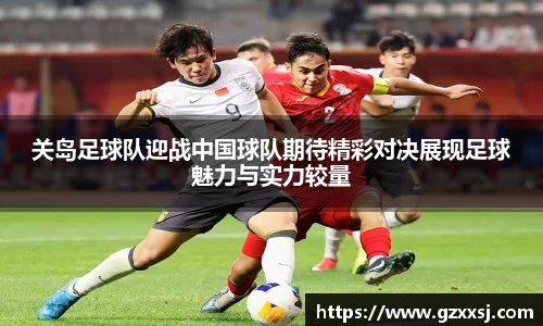 yy体育